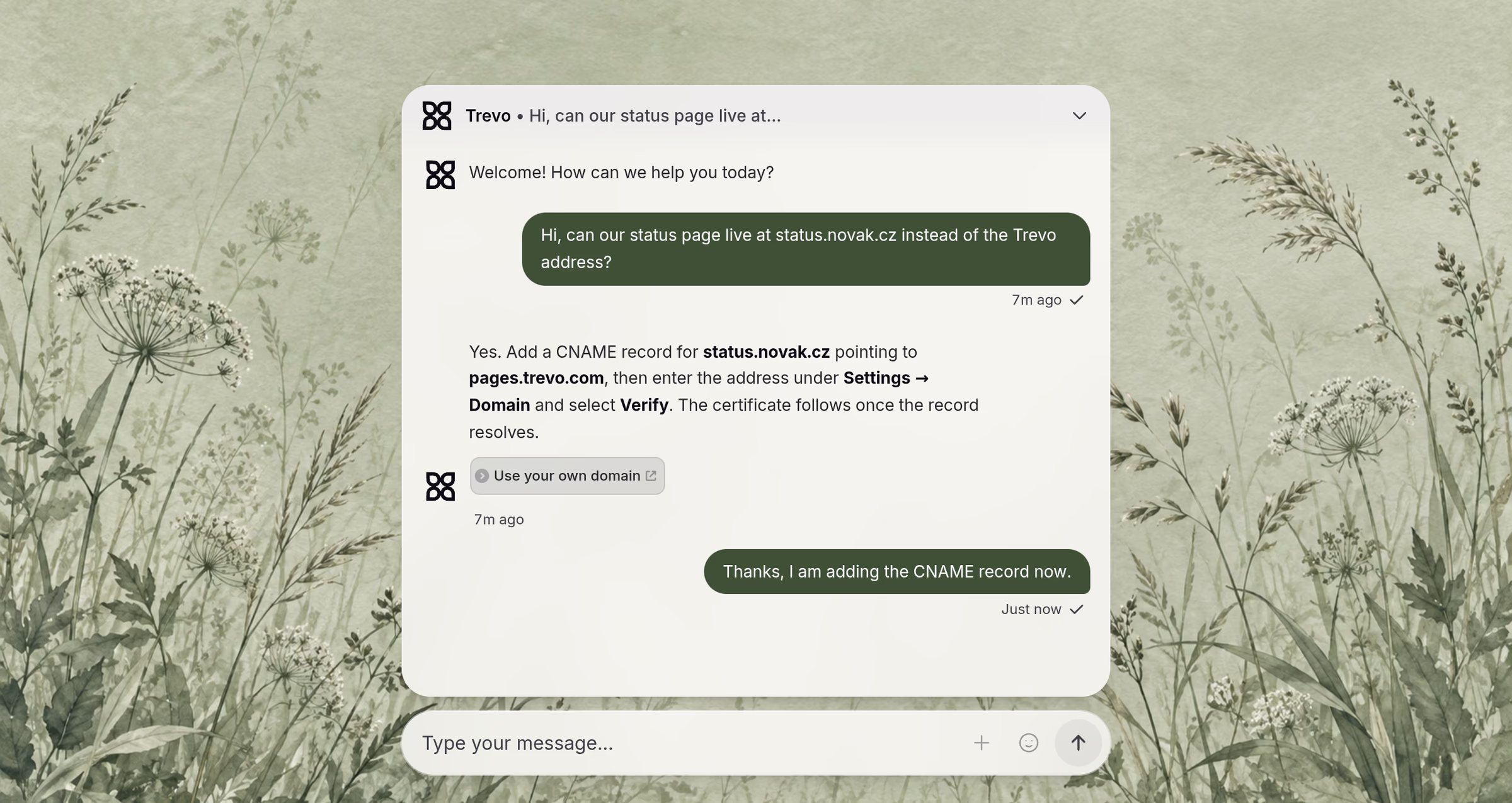 The message bar layout in frosted glass over a watercolor meadow: Hana’s question about her own domain and Aiva’s answer in a translucent card above the message field.
