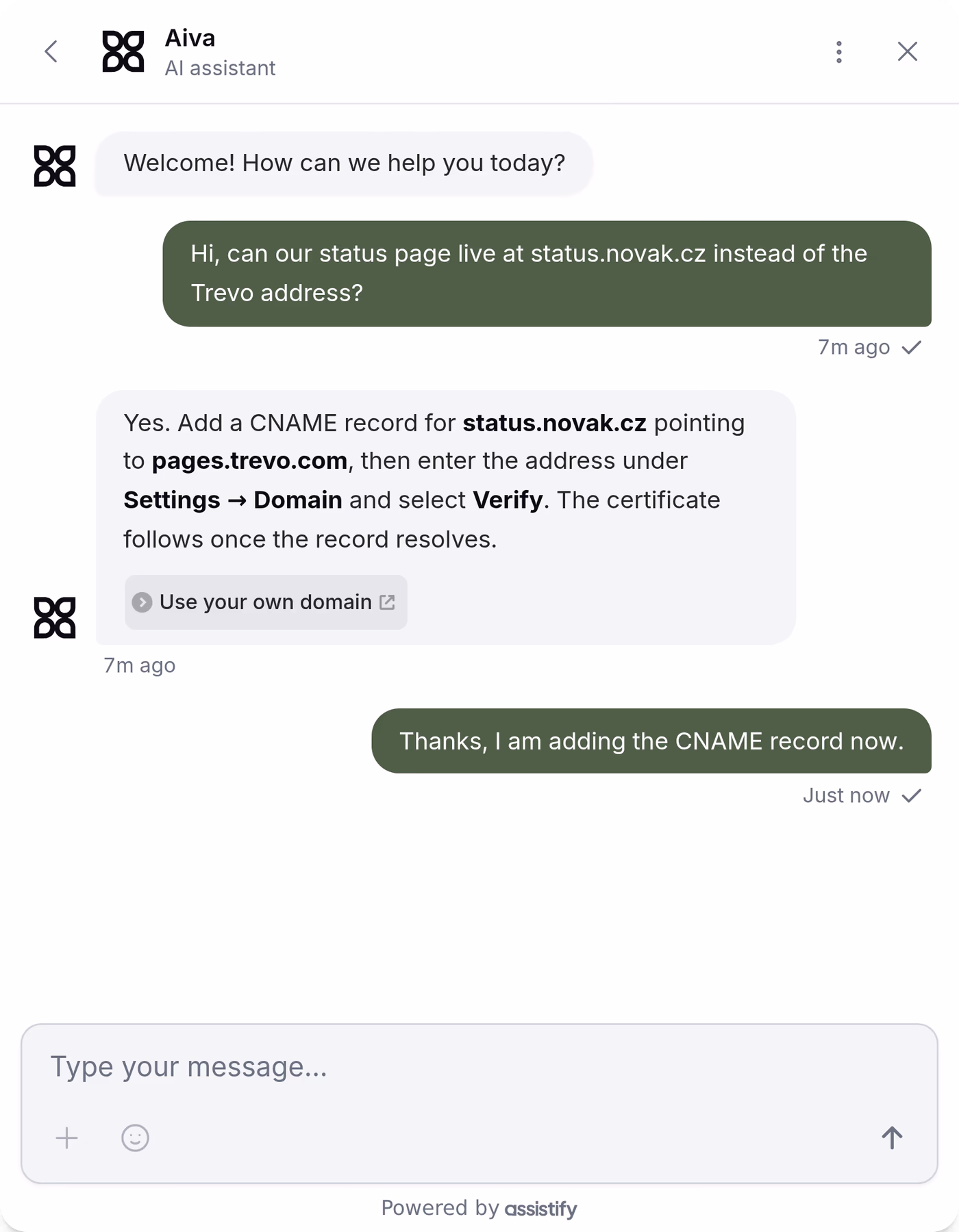 Webchat expanded on Hana’s conversation: she asks how to serve her status page on her own domain, Aiva answers with the DNS record to add and links the article that explains it, and Hana says she is adding the record.