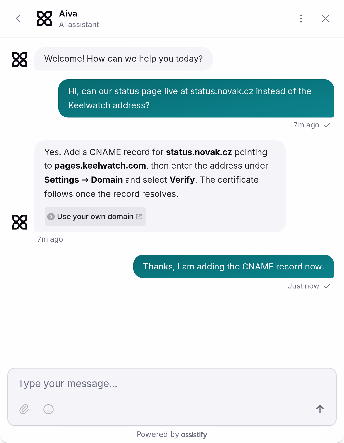 Webchat ingrandito sulla conversazione di Hana: chiede come servire la sua pagina di stato sul proprio dominio, Aiva risponde con il record DNS da aggiungere e il link all’articolo che lo spiega, e Hana dice che sta aggiungendo il record.