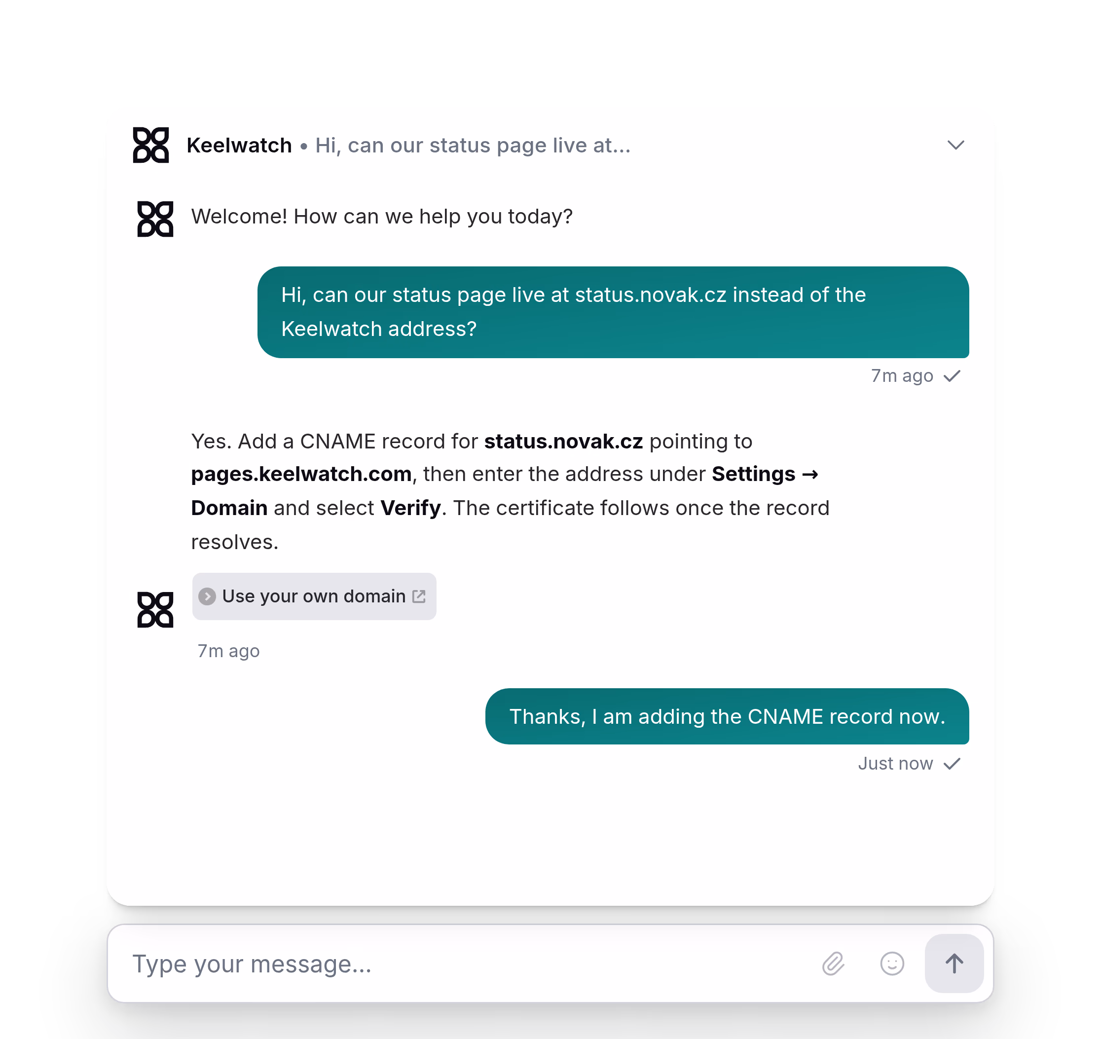 El diseño Landing abierto en la conversación de Hana: la respuesta de Aiva sobre su propio dominio encima del campo de mensaje.
